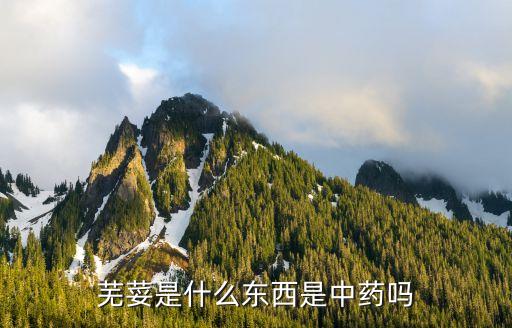 芜荽是什么东西是中药吗