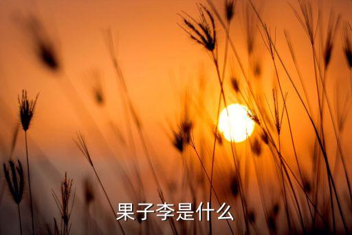 果子李是什么