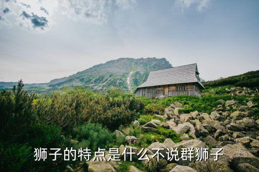 狮子的特点是什么不说群狮子