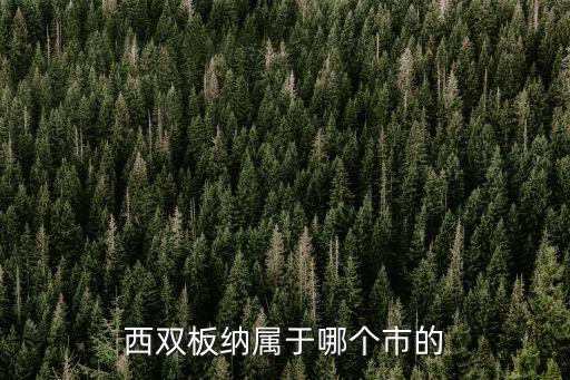 西双版纳是市吗，西双版纳在我国 省