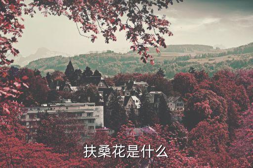 扶桑花是什么