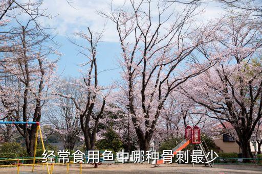 经常食用鱼中哪种骨刺最少