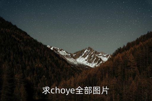 求choye全部图片
