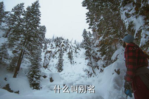 什么叫别名