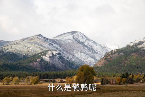 鹌鹑，鹌鹑的图片鹌鹑是鸟类还是禽类