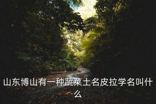 山东博山有一种蔬菜土名皮拉学名叫什么