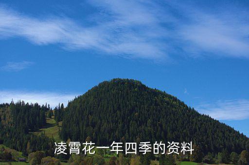 凌霄花冬天落叶吗，凌霄花一年四季的资料