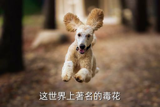 这世界上著名的毒花