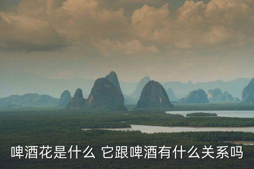 啤酒花是什么 它跟啤酒有什么关系吗