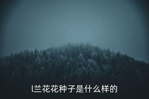 l兰花花种子是什么样的