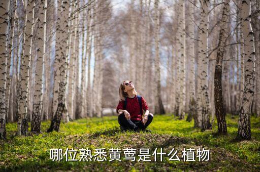 哪位熟悉黄莺是什么植物