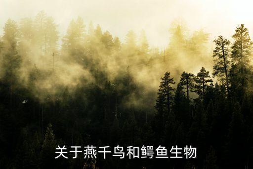 燕千鸟，有趣的动物共栖现象的燕千鸟叫什么名字
