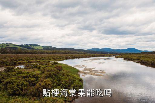 贴梗海棠果能吃吗