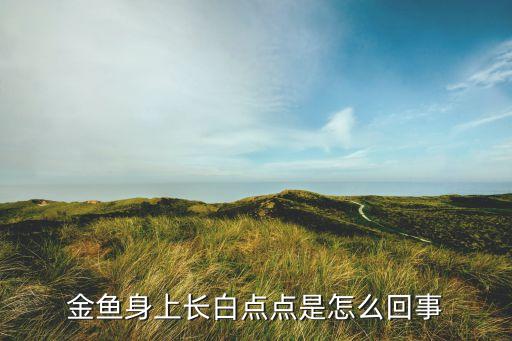 金鱼身上长白点，金鱼身上长白点点是怎么回事