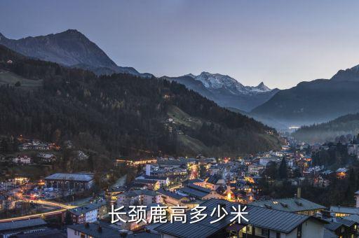 长颈鹿高多少米