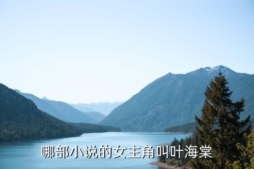 哪部小说的女主角叫叶海棠