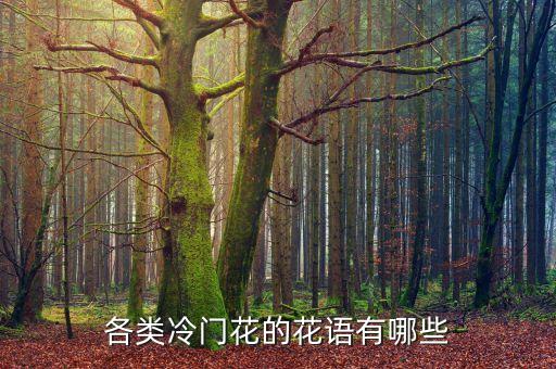 各类冷门花的花语有哪些