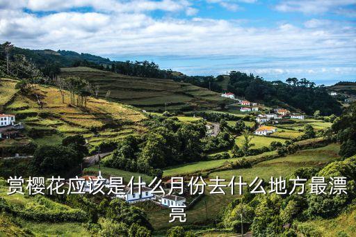 赏樱花应该是什么月份去什么地方最漂亮
