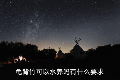 水培龟背竹，龟背竹的水培方法