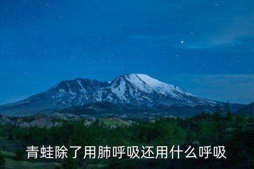 青蛙靠什么呼吸，青蛙是靠什么呼吸的