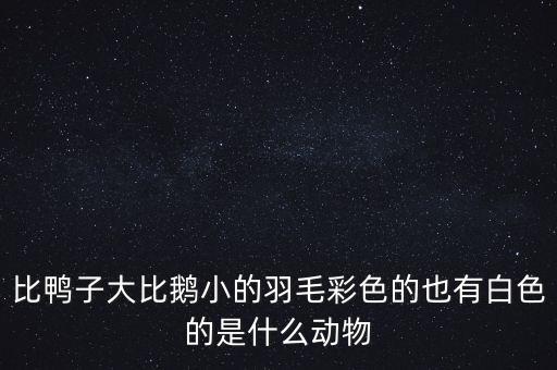比鸭子大比鹅小的羽毛彩色的也有白色的是什么动物