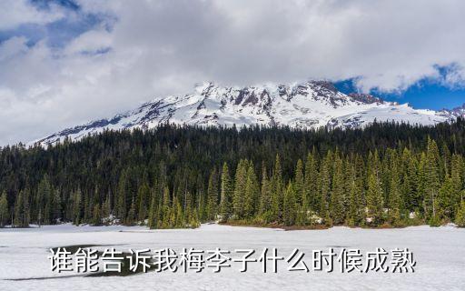 谁能告诉我梅李子什么时候成熟