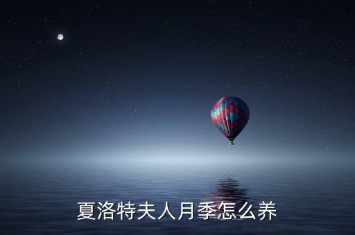 夏洛特夫人，夏洛特夫人月季怎么养