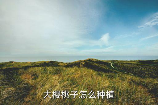 大樱桃子怎么种植
