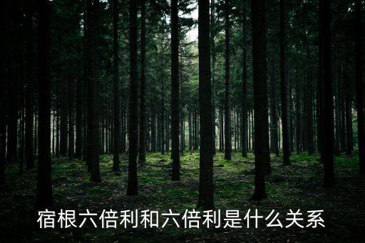 六倍利，宿根六倍利和六倍利是什么关系