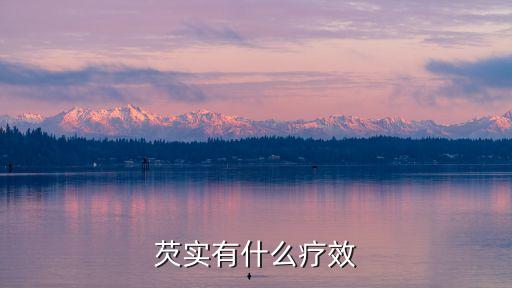 芡实有什么疗效