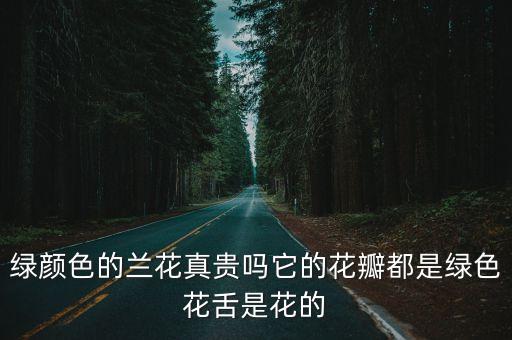 绿兰花，绿颜色的兰花真贵吗它的花瓣都是绿色花舌是花的