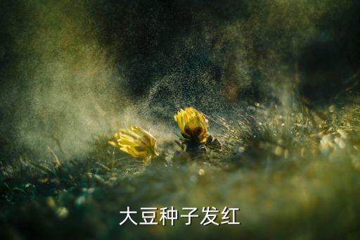 大豆种子发红