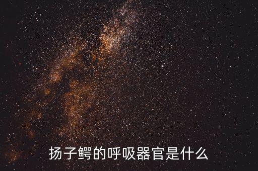扬子鳄的呼吸器官是什么