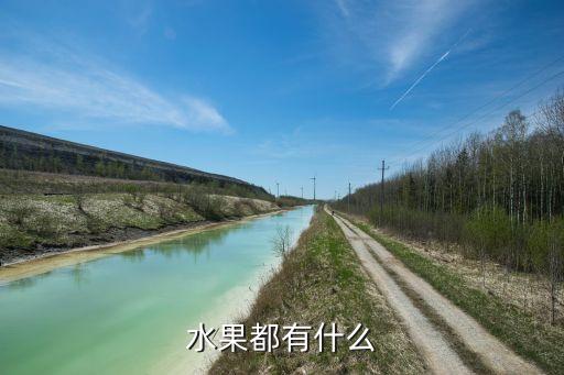 水果都有什么