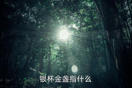 银杯金盏指什么