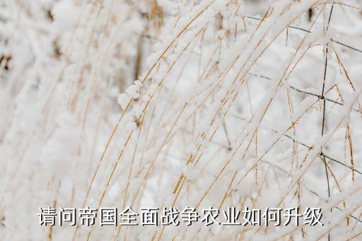请问帝国全面战争农业如何升级