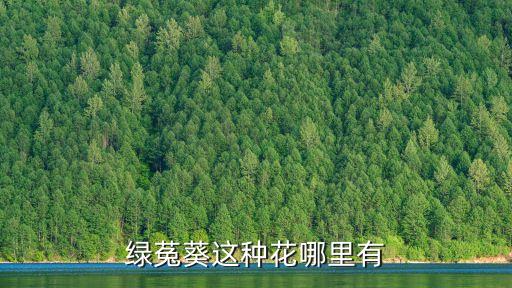 绿菟葵这种花哪里有