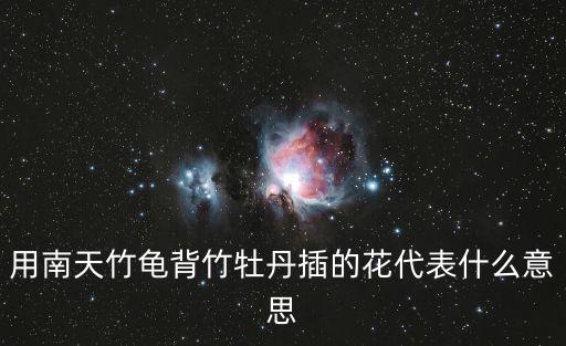 用南天竹龟背竹牡丹插的花代表什么意思