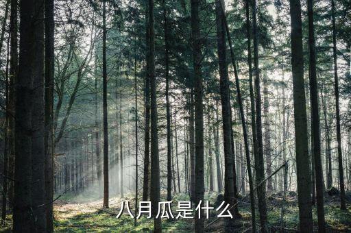 八月瓜是什么