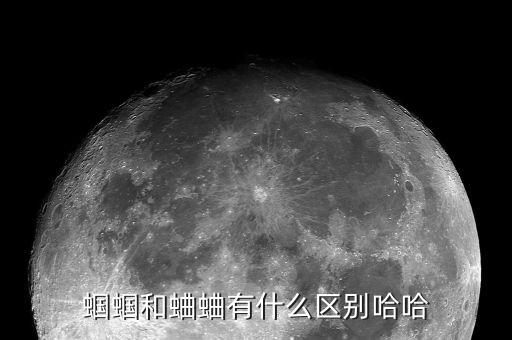 蝈蝈和蛐蛐有什么区别哈哈