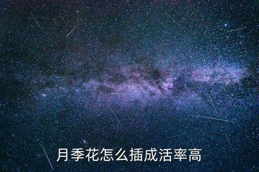 月季花怎么插成活率高