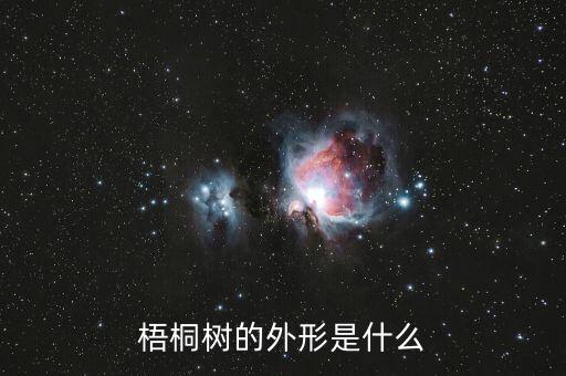 梧桐树的外形是什么