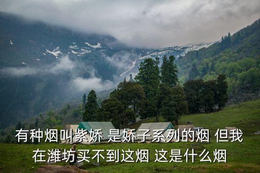 有种烟叫紫娇 是娇子系列的烟 但我在潍坊买不到这烟 这是什么烟