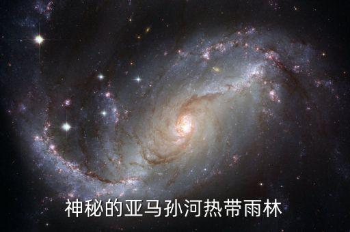 神秘的亚马孙河热带雨林