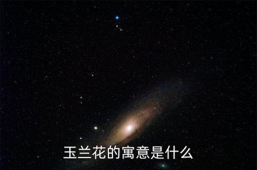 玉兰花的寓意是什么
