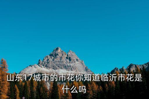 淄博市花，临淄的市花是什么