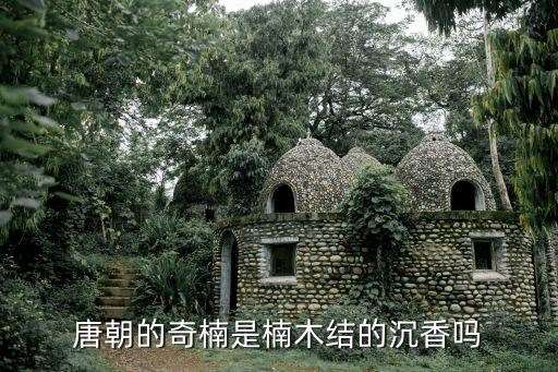 唐朝的奇楠是楠木结的沉香吗