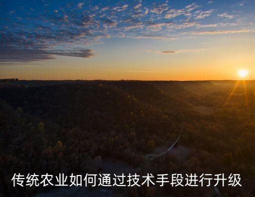 传统农业如何通过技术手段进行升级