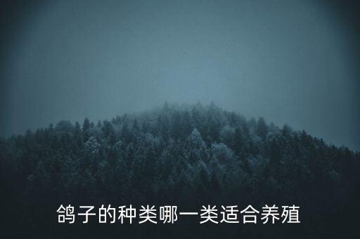 鸽子的品种，鸽子分哪几种