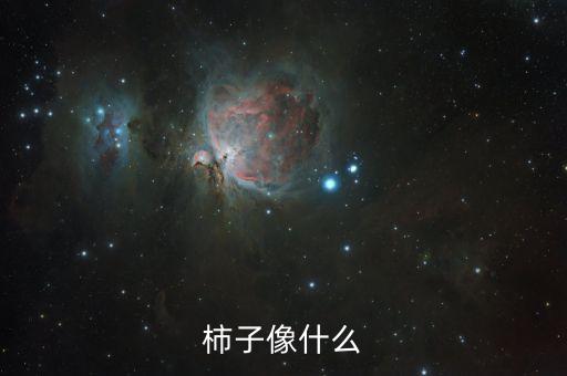 柿子像什么，柿子像什么